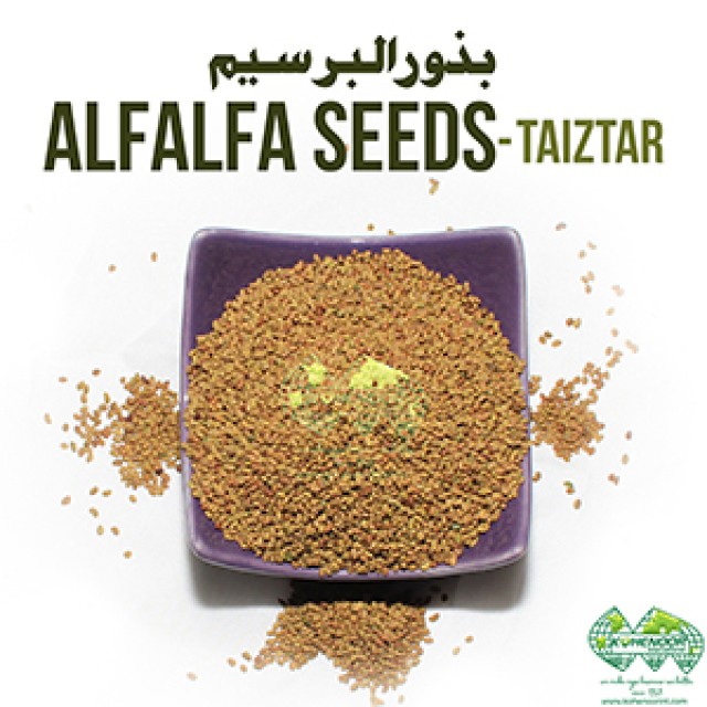 Premium Alfalfa Seeds for High-Yield Animal Feed