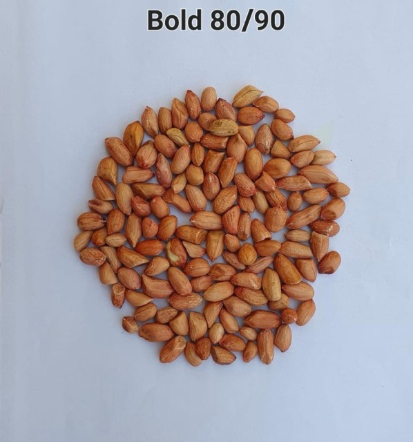 Peanut Bold - Premium Indian Peanuts