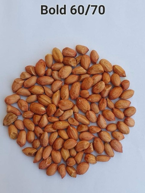Peanut Bold - Premium Indian Peanuts