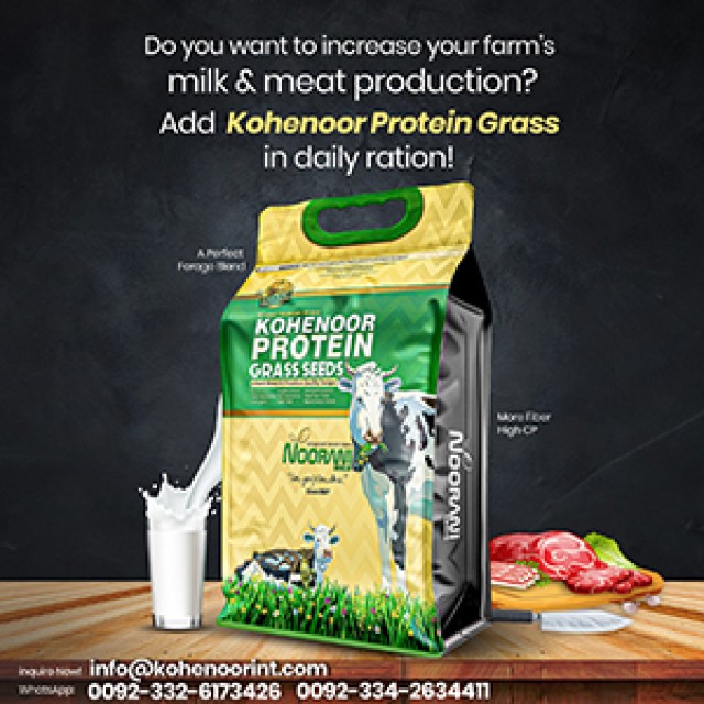 Protein Grass Seed - Boost Milk & Meat Production with Kohenoor