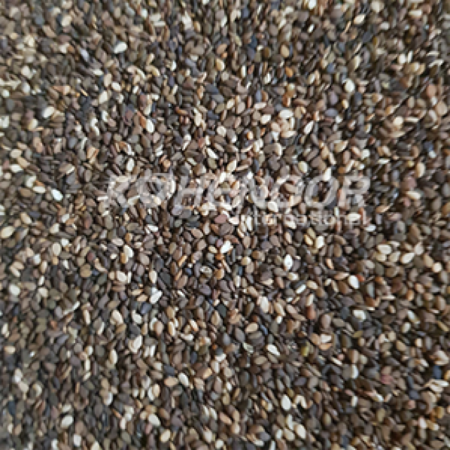 Pakistan Sesame Seeds - Top Quality for Culinary & Oil Production