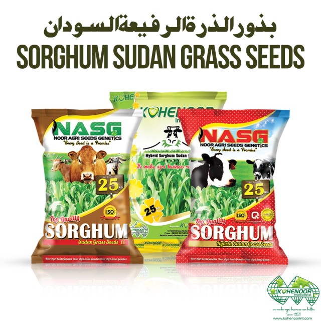 Sorghum Sudan Grass Seeds for Sustainable Agriculture