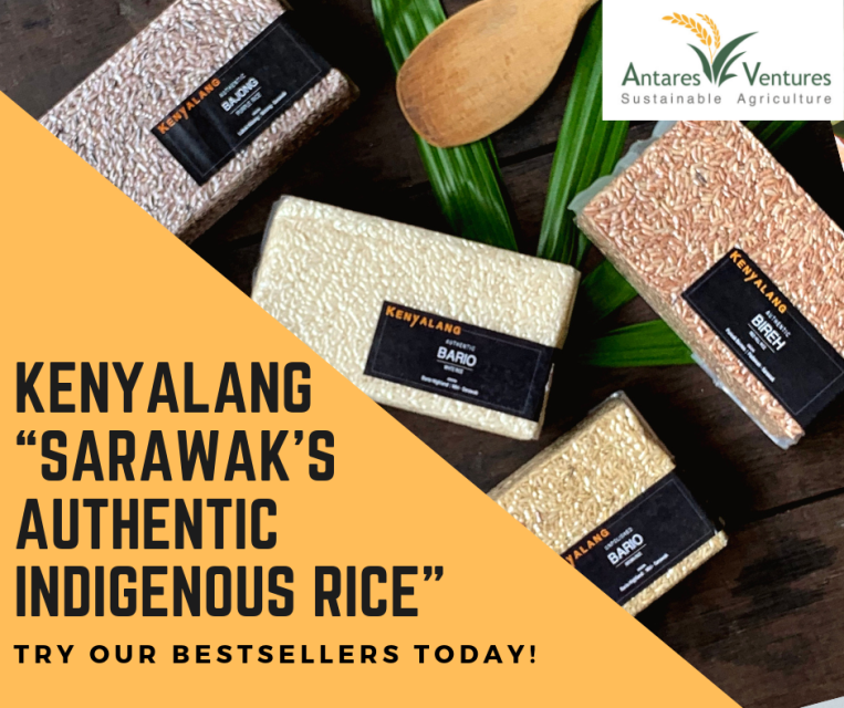 Kenyalang Grains of Hope - Aromatic Indigenous Red Rice from Borneo