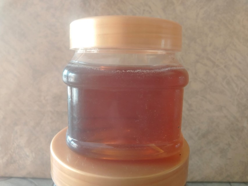 Indian Natural Honey - Wholesale Prices, Quality Assured