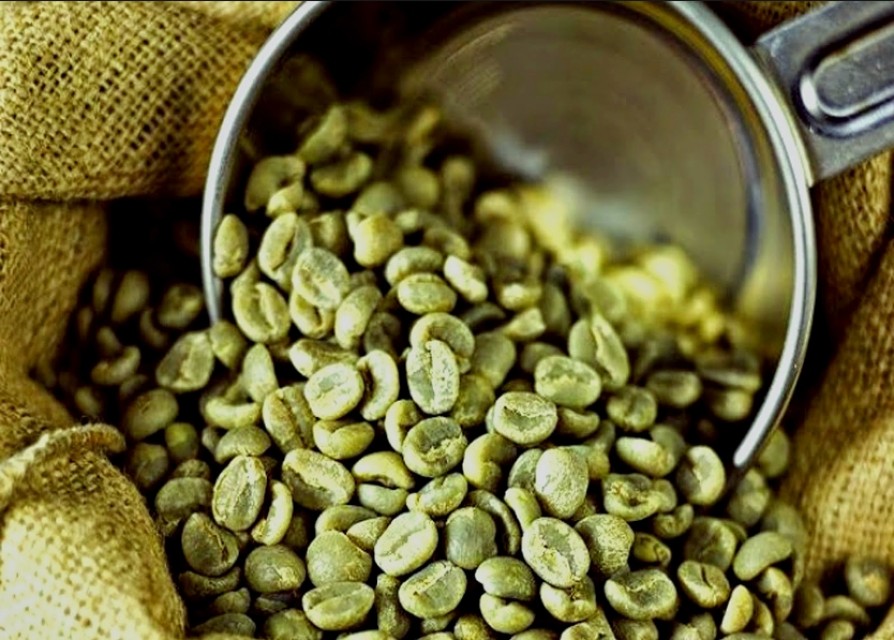 Premium Grade A-Screen Rubusta Coffee Green Beans
