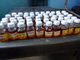 Indian Natural Honey - Wholesale Prices, Quality Assured