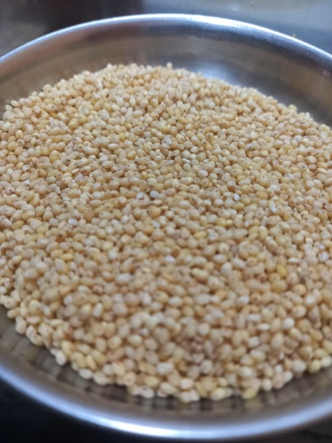 Premium Indian Millets - Pearl, Sorgham, Finger, Little Wholesale