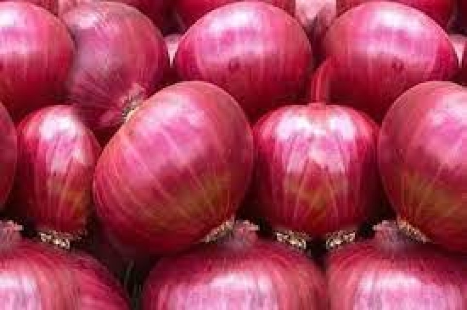 All Types of Onion - Red, Yellow, White