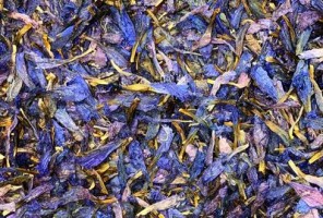Borage Flower - Vibrant Blue Petals & Antioxidant Rich
