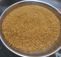 Premium Indian Millets - Pearl, Sorgham, Finger, Little Wholesale
