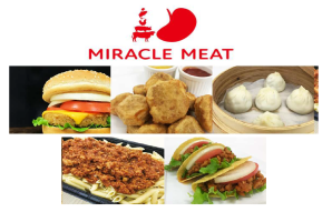 Miracle Meat - Innovative Plant-Based Protein Solution