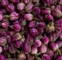 Premium Iranian Pink Rose Bud - Wholesale Supplier & Exporter