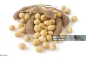 Indian Soybean Seeds High-Protein, Versatile Agro Delight