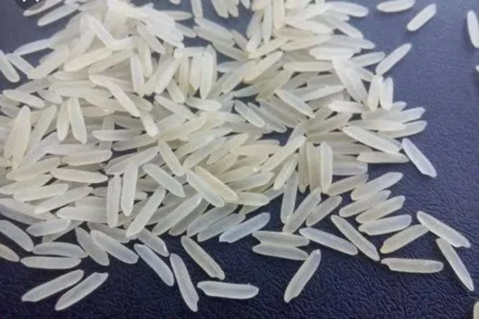 1121 Sella Basmati Rice - Wholesale Prices & Quality Guaranteed