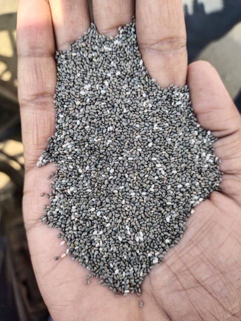 Nutrient-Packed Chia Seeds - Wholesale Rates, Customization Available