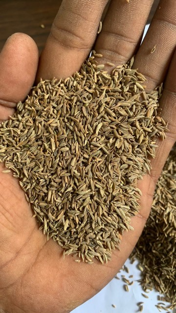 Cumin Seeds (Jeera) - Authentic Indian Spice for Culinary and Medicinal Use