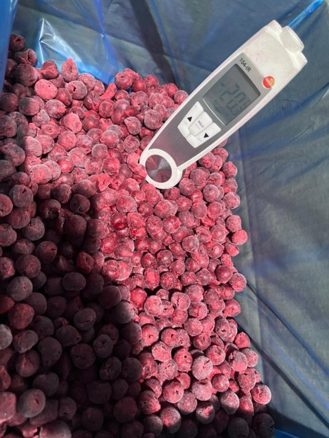 Frozen IQF - Uzbekistan's Wholesale Agro Products