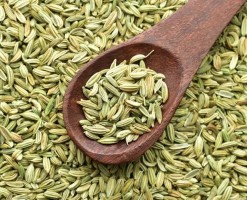 Fennel Seeds - Versatile Spice & Digestive Aid from India