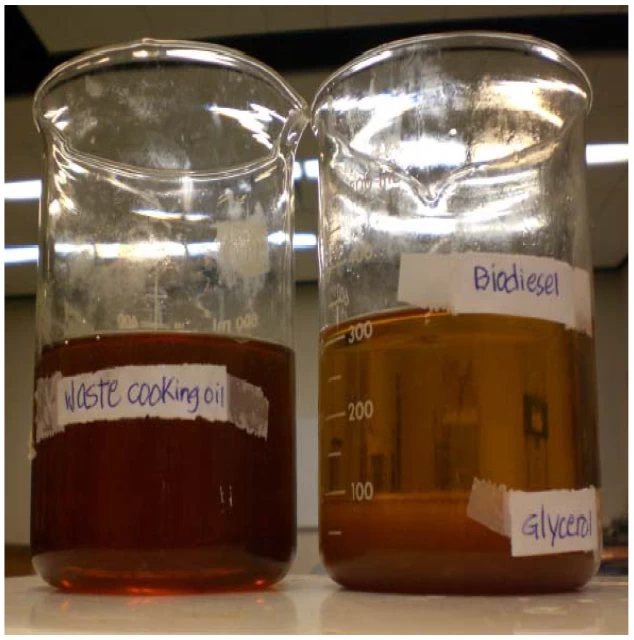 UCO Waste Oil - Sustainable Biofuel Solution