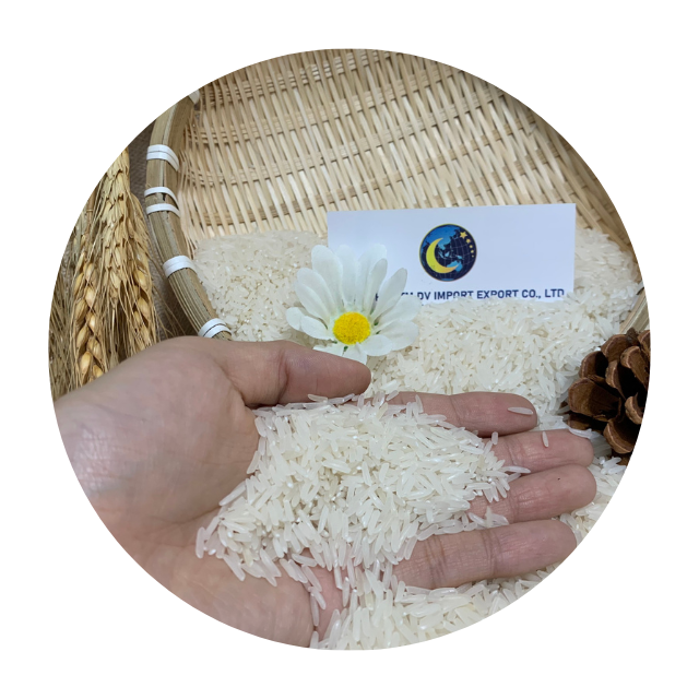 Vietnam Organic 5% Broken Long Grain White Rice 504 Wholesale