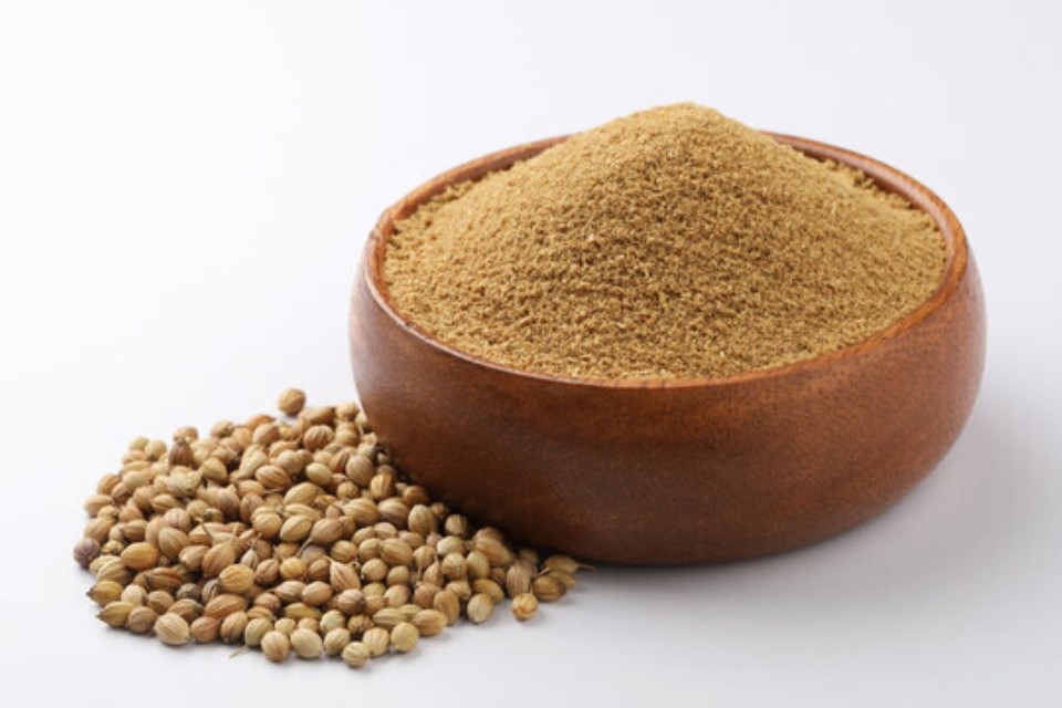Premium Quality Coriander Seeds - Wholesale Supplier From India