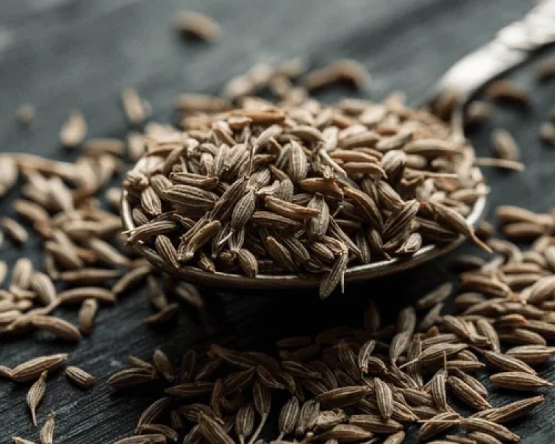 Indian Cumin Seeds - Aromatic & Versatile Spice for Global Markets