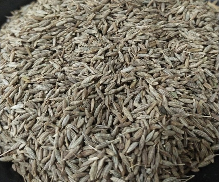 Premium European Quality Cumin Seed