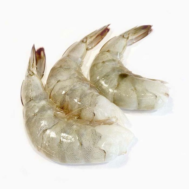 Quality Fish & Shrimp - Wholesale Supplier