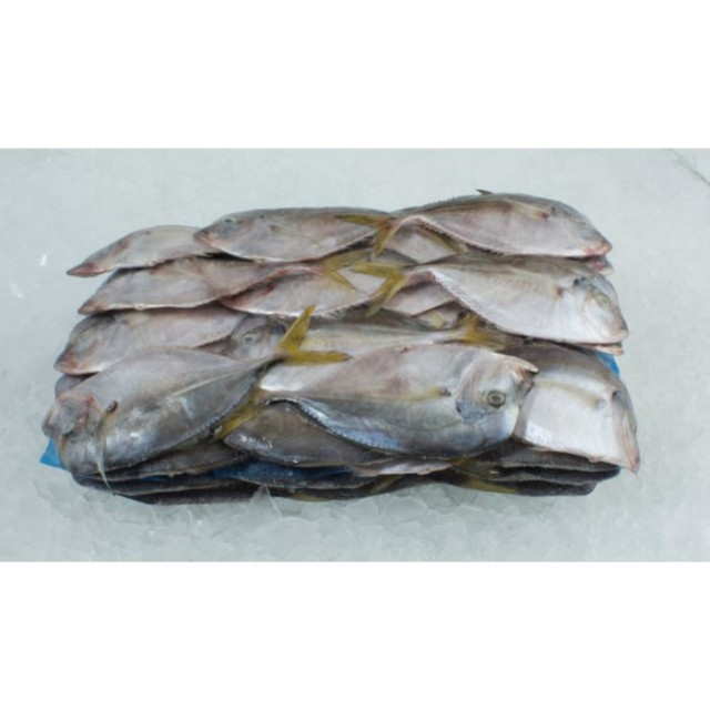 Quality Fish & Shrimp - Wholesale Supplier