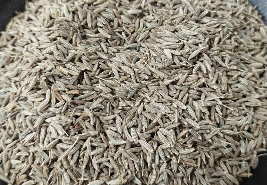 Prime Singapore Quality Cumin Seed