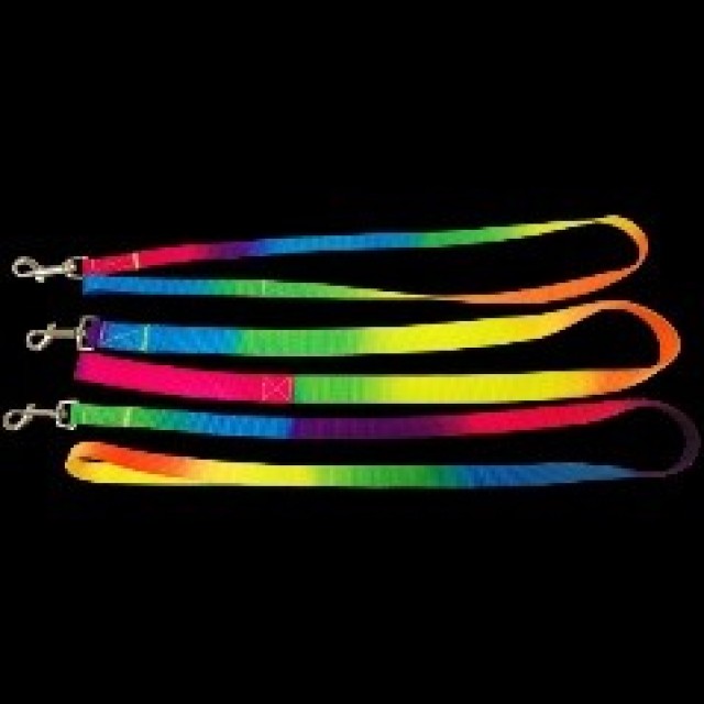 Rainbow Dog Leash - Premium Quality