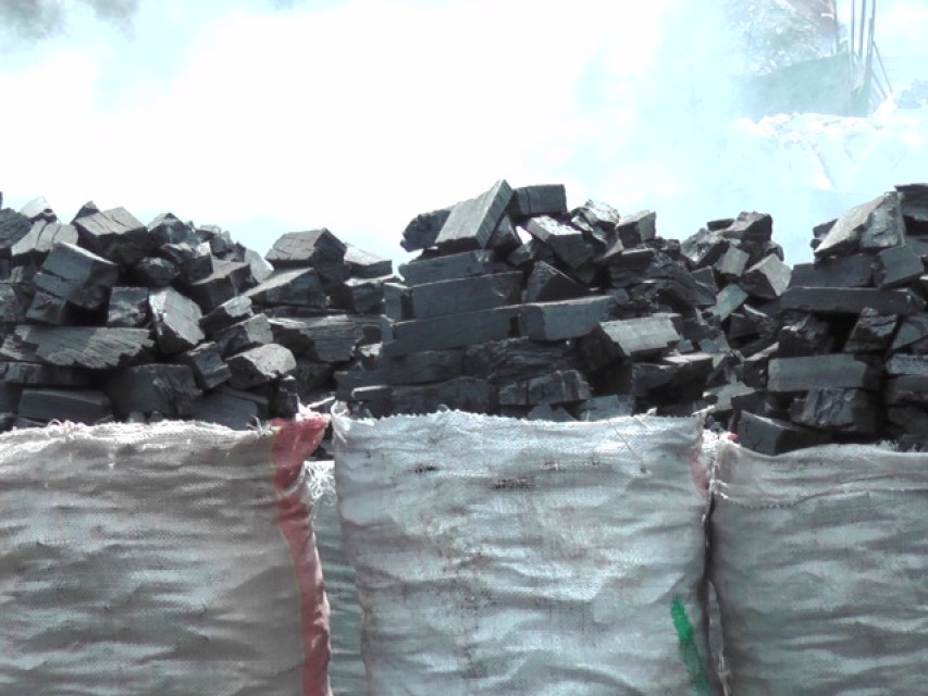 Premium Hardwood Charcoal for BBQ, Cooking, and Industrial Use