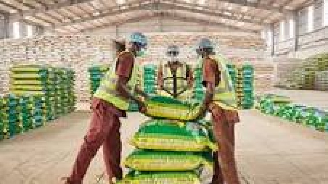 Rice Production Mill - Wholesale Supplier from Nigeria