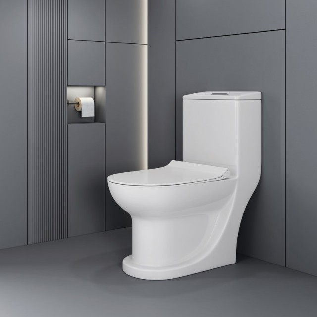 One Piece Toilet with Comfort Height