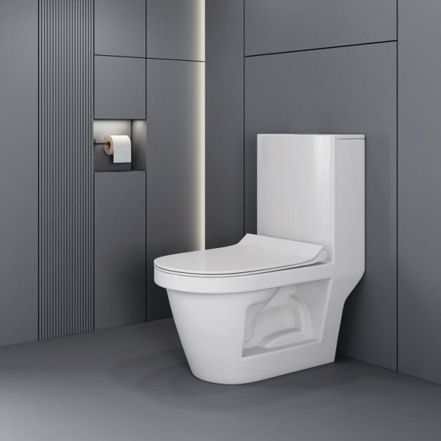 One Piece Toilet with Comfort Height