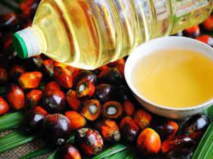 Palm Oil & Derivatives - Source Directly from Malaysia