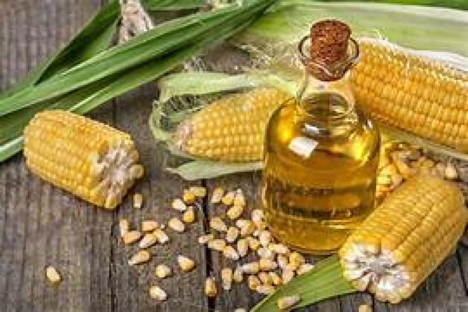Premium Refined Corn Oil