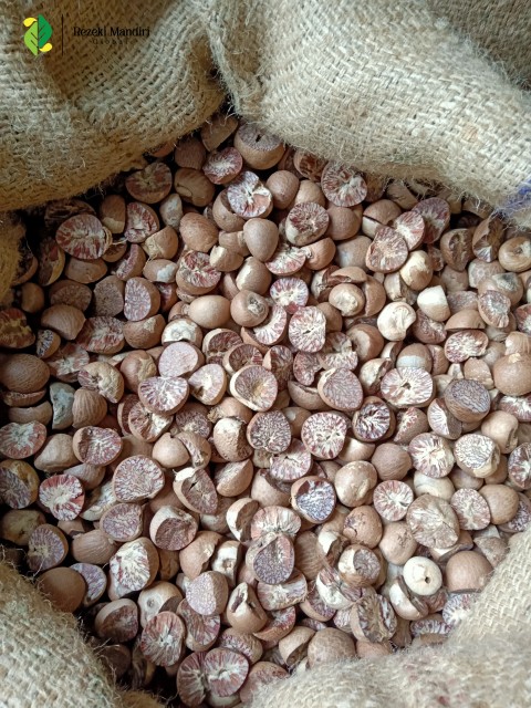 Indonesian Split Betel Nut - Wholesale Supplier, Exporter