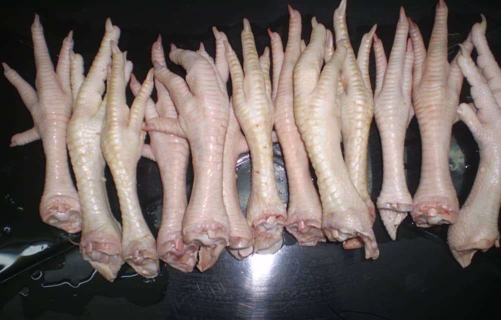 Frozen Chicken Pieces - Chicken Feet, Paws, and Drumsticks Supplier