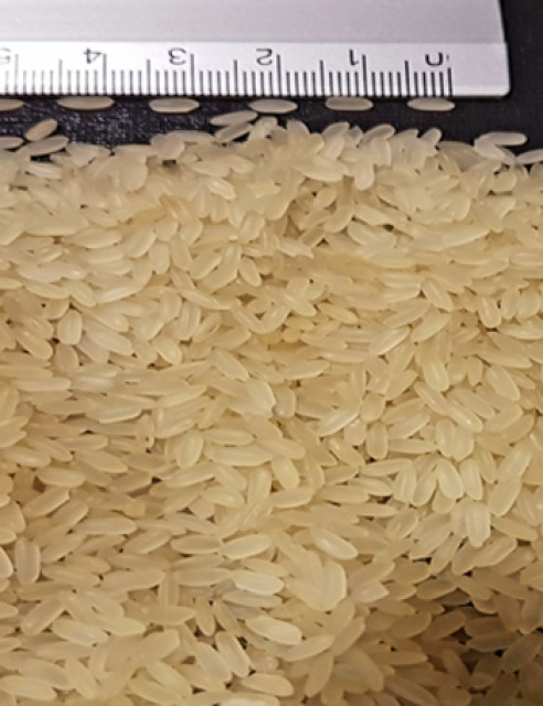 Indian Non-Basmati Parboiled Rice for Wholesale