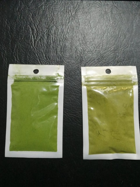 Premium Moringa Leaf Powder Supplier from Indonesia