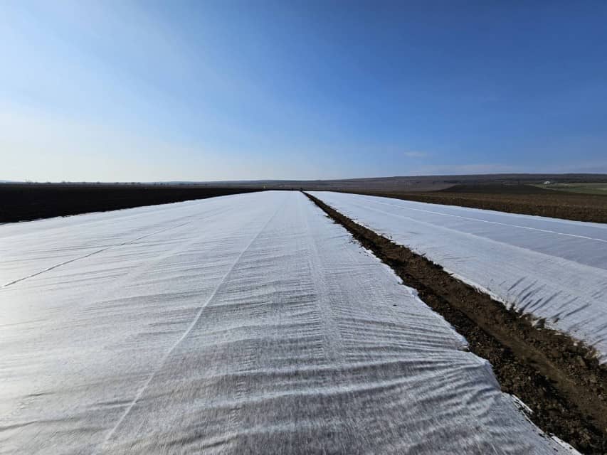 Crop Cover Fabric for Plant Protection and Frost Defense