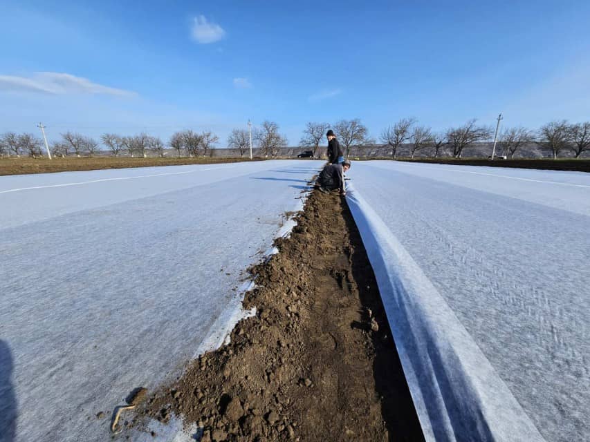 Crop Cover Fabric for Plant Protection and Frost Defense