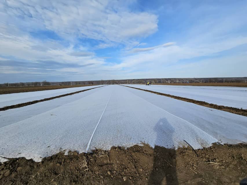 Crop Cover Fabric for Plant Protection and Frost Defense