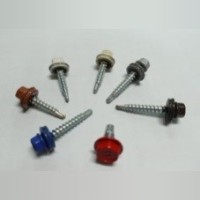 Hex Head Screw with Rubber Washer - Supplier from Taiwan