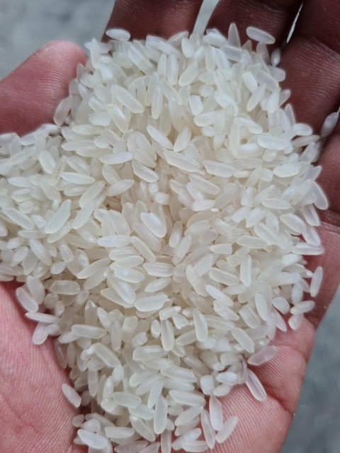 Premium Calrose Sushi Medium Rice – Wholesale from Vietnam