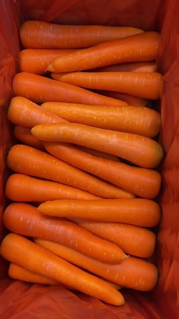 Premium Indonesian Fresh Carrots - Bulk Supplier