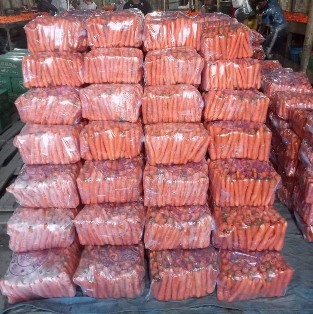 Premium Indonesian Fresh Carrots - Bulk Supplier