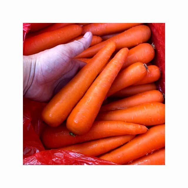 Fresh Carrots Available in Bulk – Direct Supplier from Netherlands