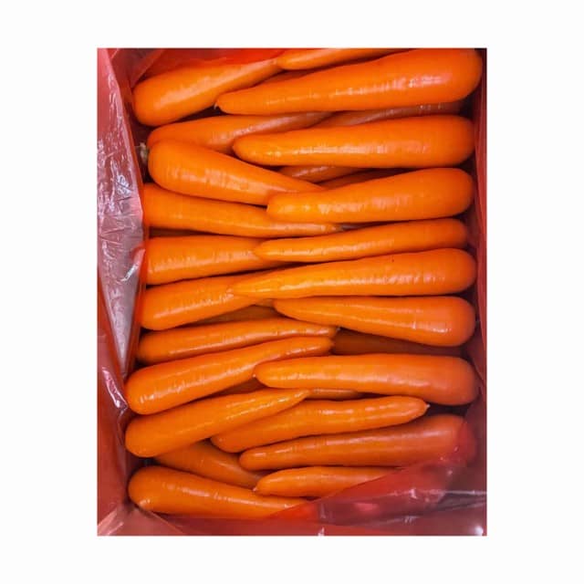 Fresh Carrots Available in Bulk – Direct Supplier from Netherlands